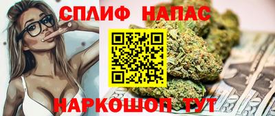 крисы Обь