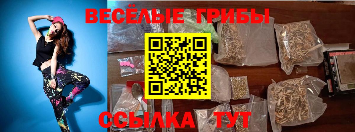 Сухой Лог  Галлюциногенные грибы GOLDEN TEACHER  цены наркотик  Вход с VPN  Галлюциногенные грибы ЛСД 