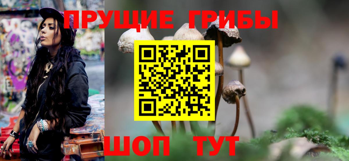 Псилоцибиновые грибы MAGIC MUSHROOMS Сухой Лог